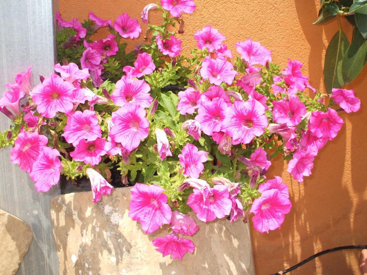 B&B Villa Maria Giovanna Giardini-Naxos Exterior foto